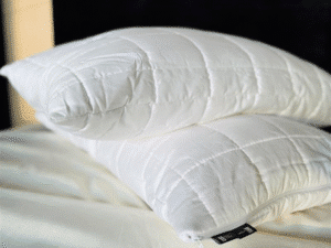 Sprout Pillow System