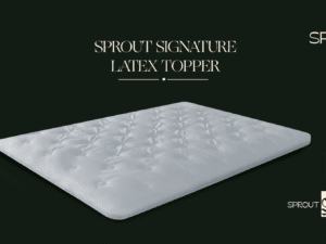Sprout Latex pillow topper 2"